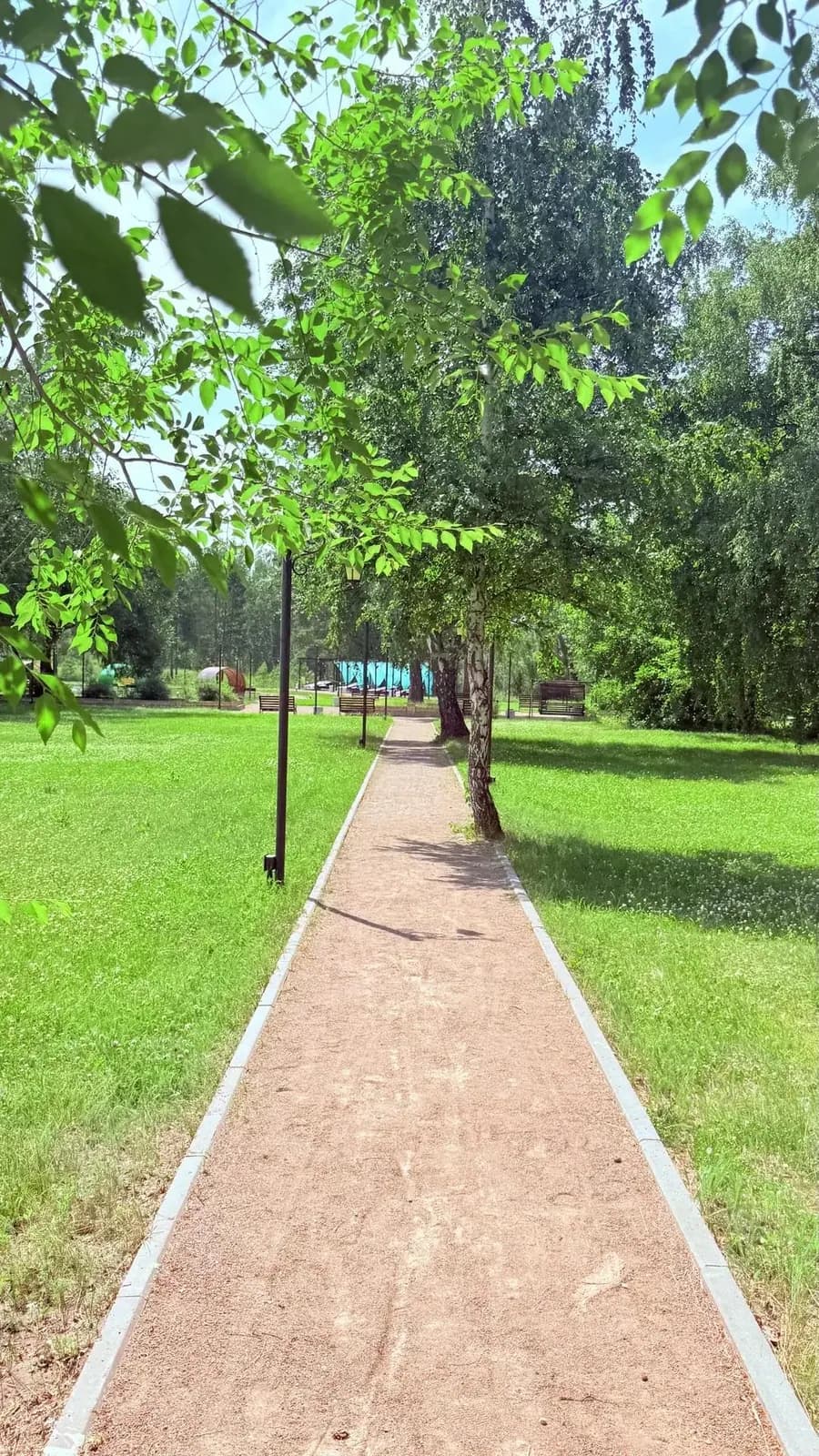 Прогулочная дорожка в летнем парке