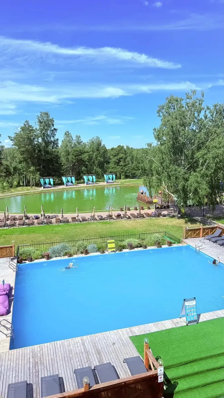 Открытый бассейн в сосновом парке